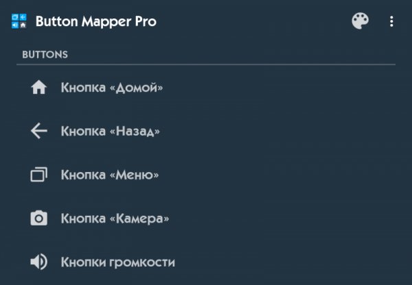 Button Mapper Pro 0.40