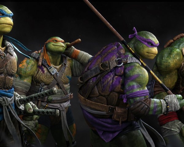 Cartoons Tough ninja turtles with weapons 146704 10