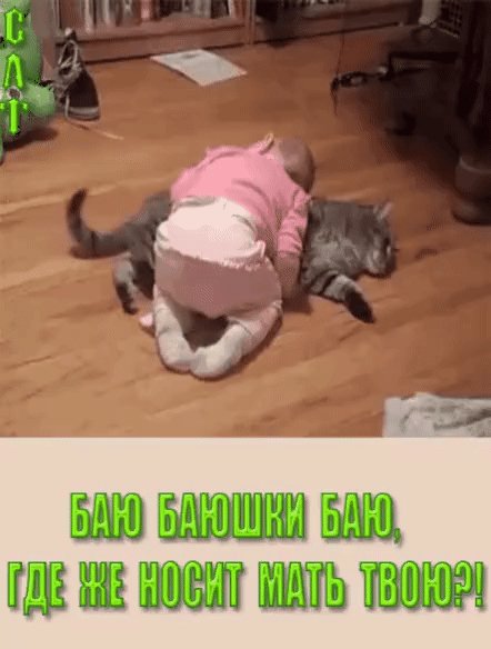 IMG 20211119 014804