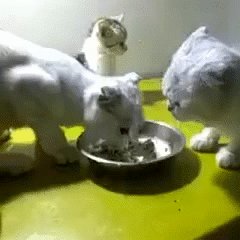 А Ты Чо Смотришь?