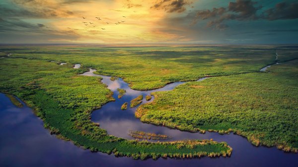 Everglades-national-park-florida-united-states-vid-s-vysoty