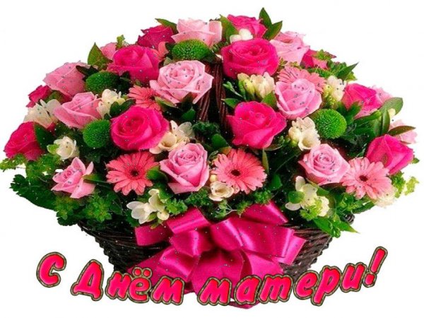 IMG-20231126-WA0004
