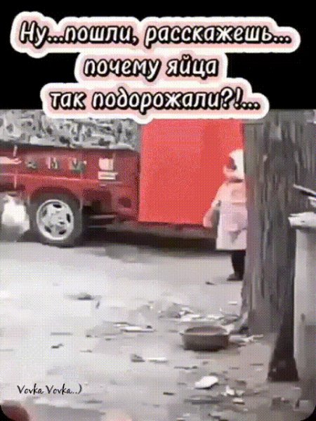 Разборка с курицей