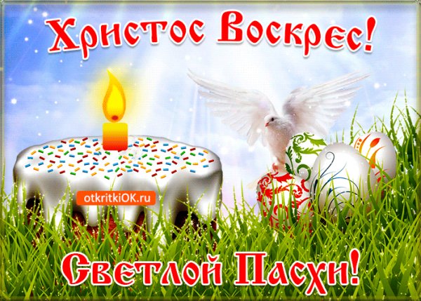 file_93328737
