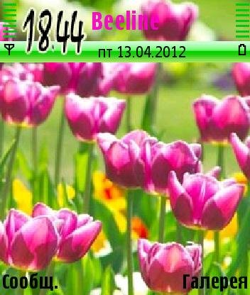 tulpes 6vunjtxr