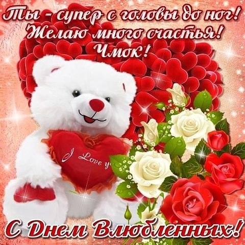 IMG 20160213 160505 14