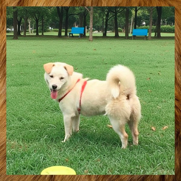 OKJYYHFTRDDXFGVM9YQE