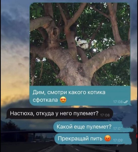 FB IMG 1776447331606