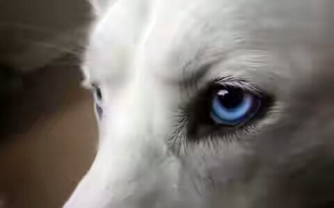 - Odin - Da. - Lyubish odinochestvo - Ne lyubl