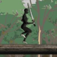 Ninja Run