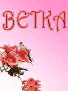 Vetka