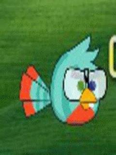Crazy Bird
