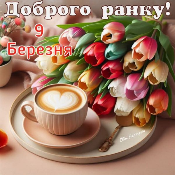 FB IMG 1741503518736-