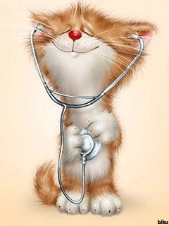 Слушаю сердце