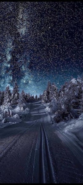 Зимняя ночь