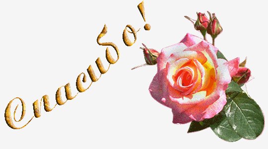 a18c7d2934dbf995f7f37a6b7a29d047 (1)