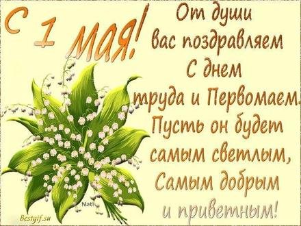 new-card-659428
