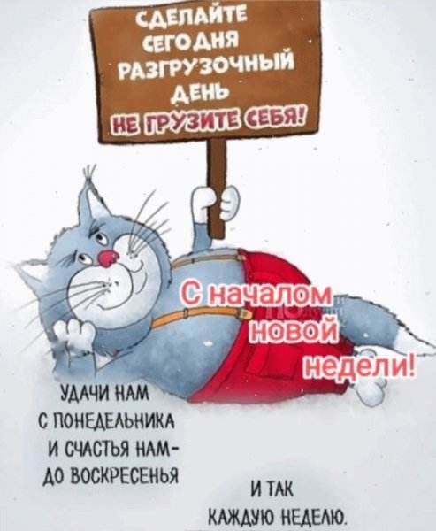 IMG 20260204 163229