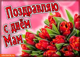 с днем матери 000533