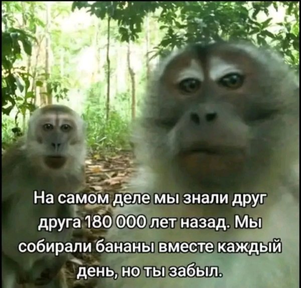file_103254777