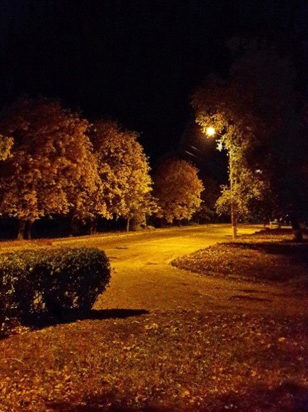 file_94765014