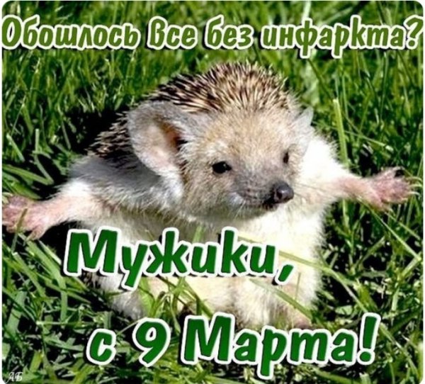 IMG 20260309 235258