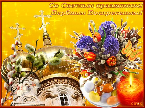 IMG 20170410 005434 0