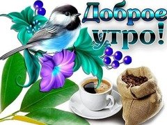 Доброе утро