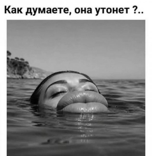 file_103264902