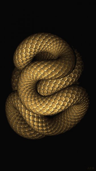 spiralsnak 7xnvaid4