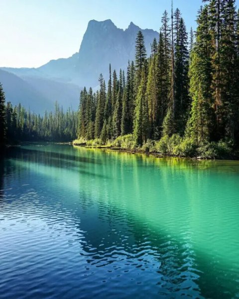file_101738854