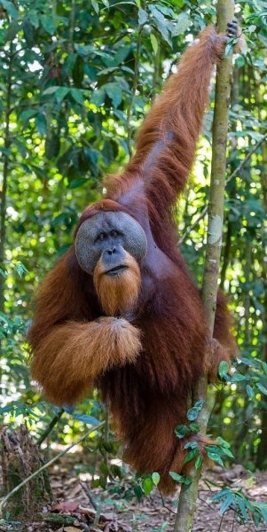 89a8d6394d7dcc547f120a25428a09da