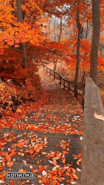 file_95147419