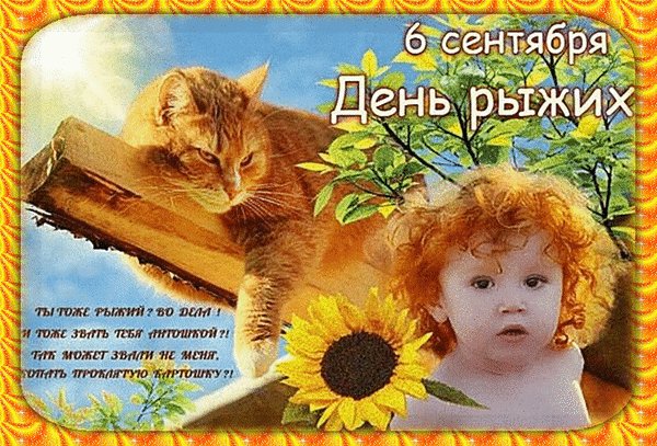 Анимированная открытка 6 сентября день