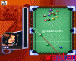 Gabor Fetter MicroPool 2007 v5.07