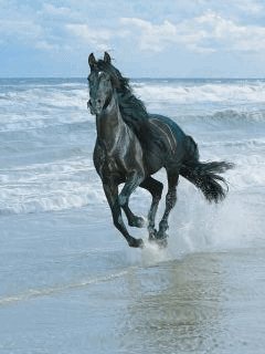 file_22071323