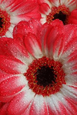 file_80555050