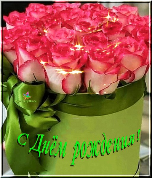 file_77079503