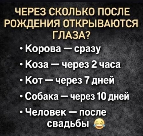 file_103226105