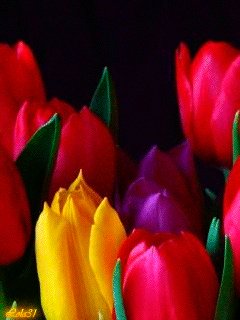 file_14256724