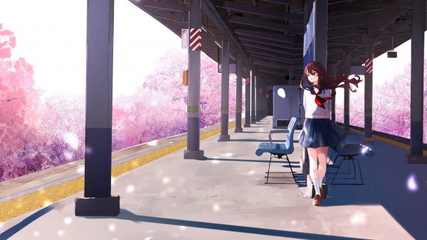 Devushka perron sakura 221597 2048x1152