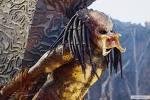 Predators-fight