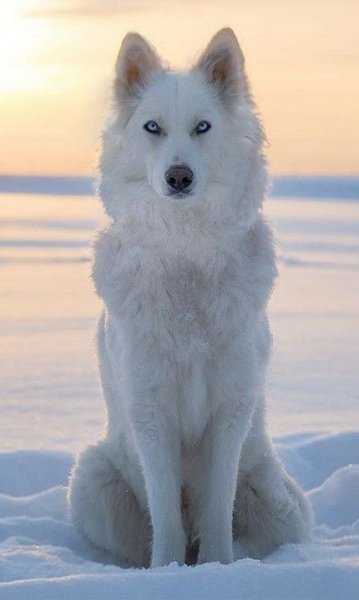 f147d8e2a0343da03c570d5342