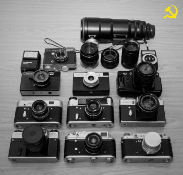 file_91269944