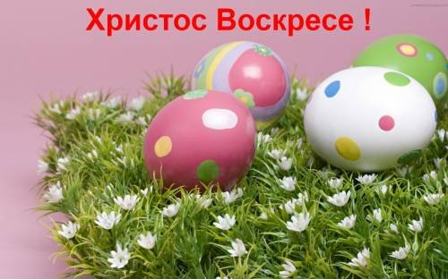 file_56071869
