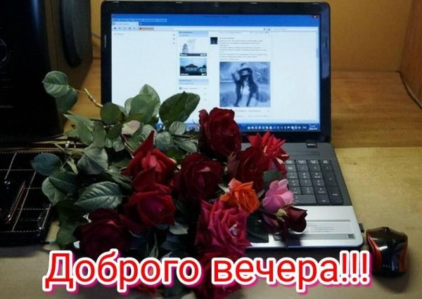 Доброго вечера