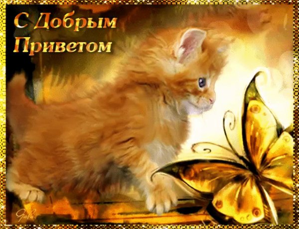 file_75801460