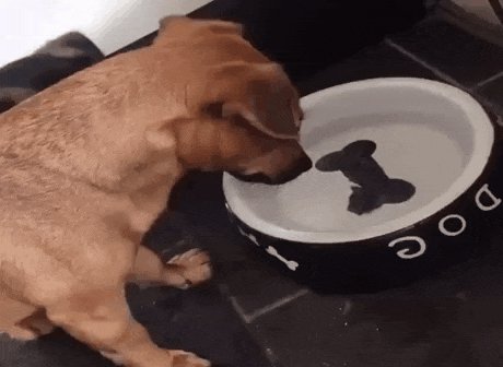 c6c0eab34cbd66c3d36115fecb47d5d0959e5307b459d8