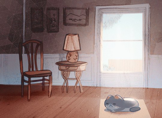 гифки, котэ, живность