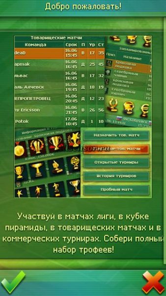 football meneger 2012 v2.1.03 128 160